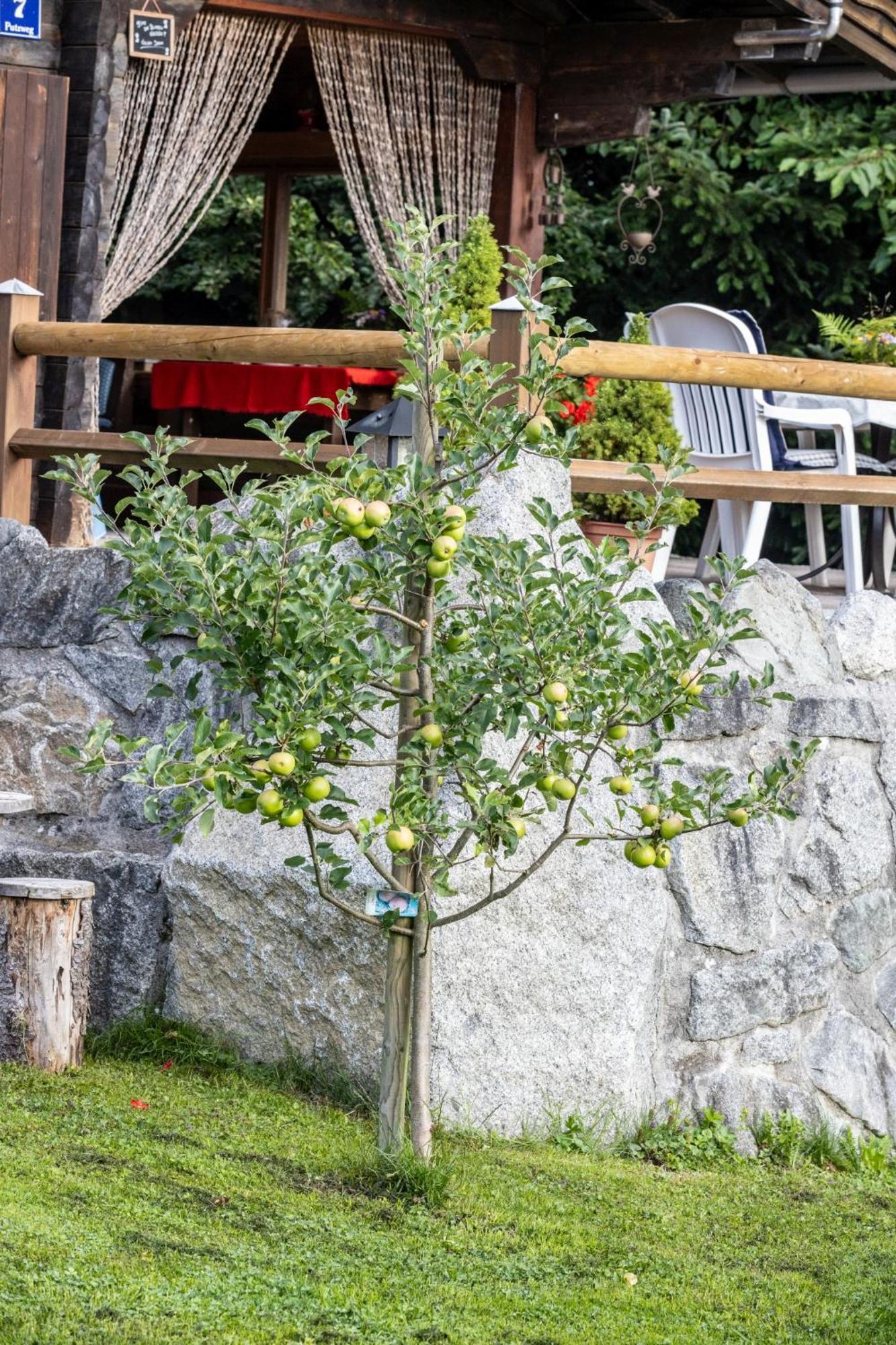 Appartamento Ferienhuette Puutz Wörgl Esterno foto