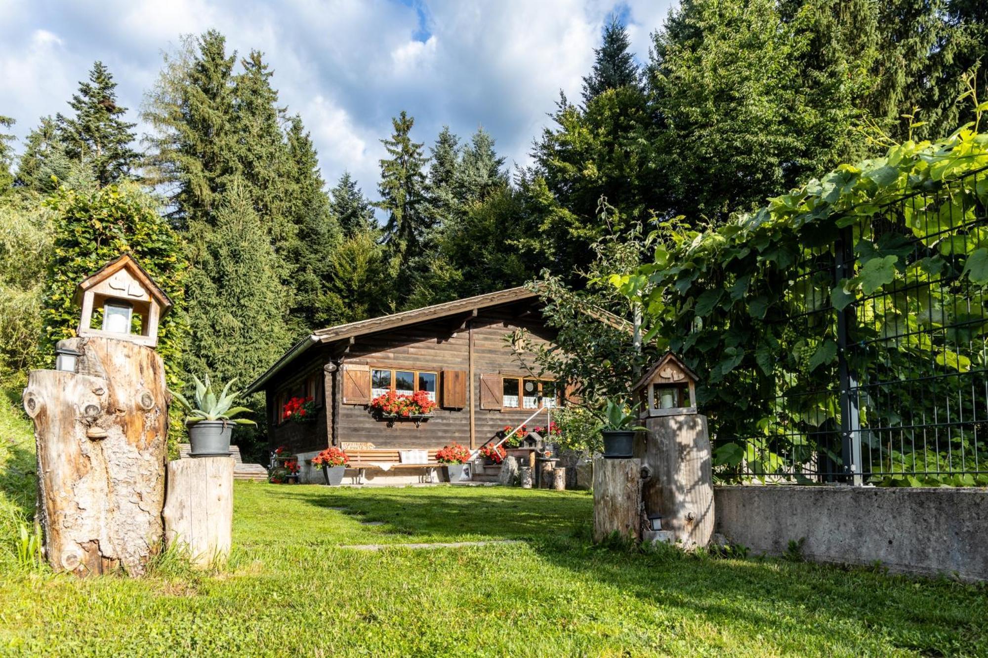 Appartamento Ferienhuette Puutz Wörgl Esterno foto